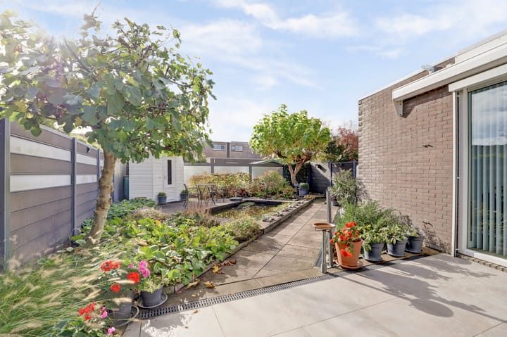 Photo 29 of Lansenpad 9