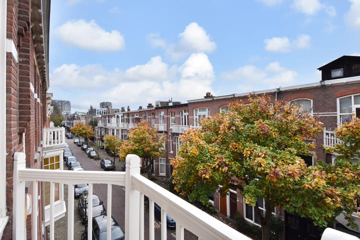 Foto 21 van Van Slingelandtstraat 142