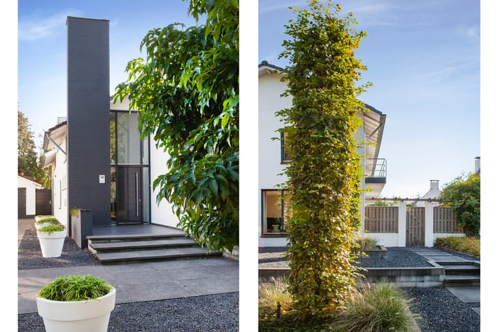 Foto 7 van Warandelaan 52