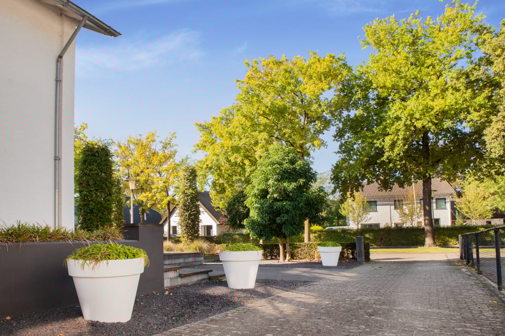 Foto 8 van Warandelaan 52