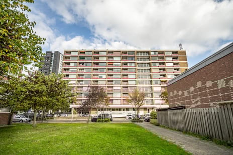 Bachstraat 254 secondary image