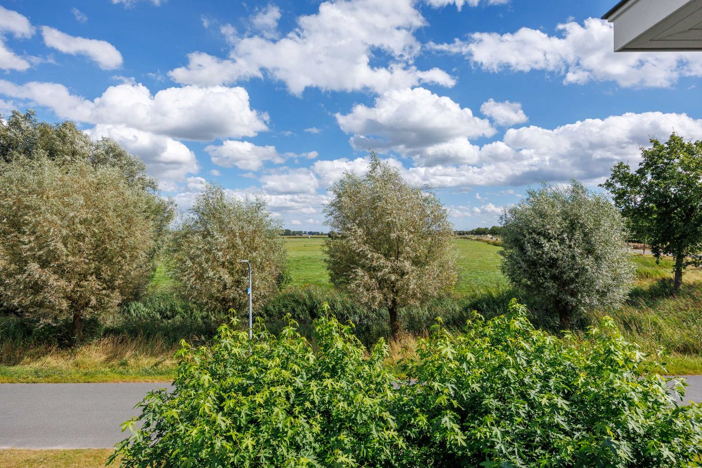 Foto 40 van Wegastraat 8