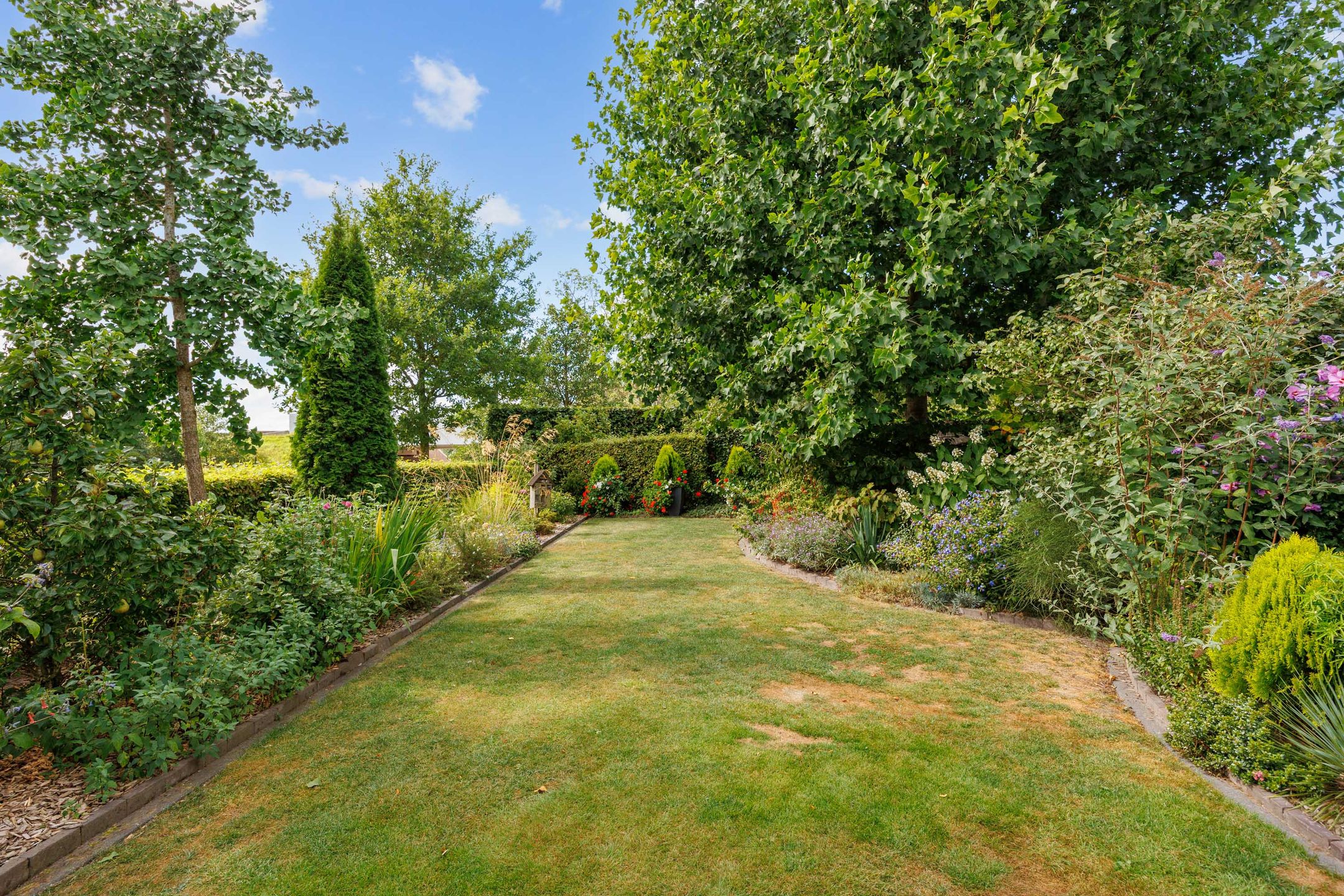 Foto 51 van Wegastraat 8