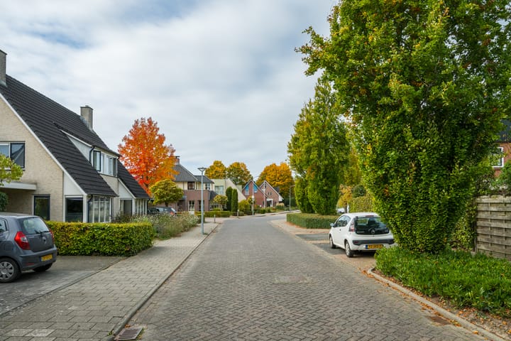 Photo 3 of de Steege 22