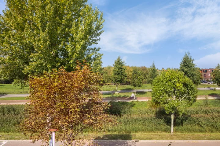 Photo 44 of Hoogveen 64