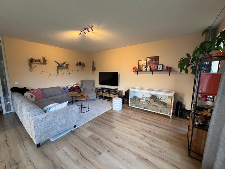 Foto 5 van P.C. Borstlaan 84