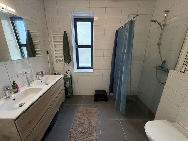 Foto 12 van P.C. Borstlaan 84