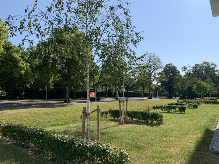 Foto 17 van P.C. Borstlaan 84