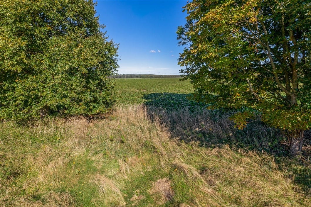 Foto 12 van Nieuweweg 1