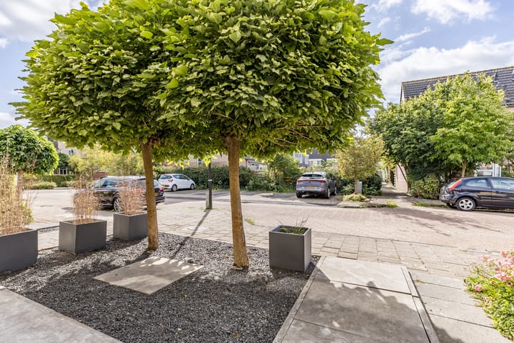 Foto 26 van Kastelein 19