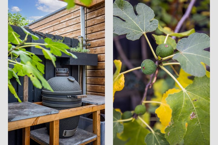 Foto 36 van Sodawater 38