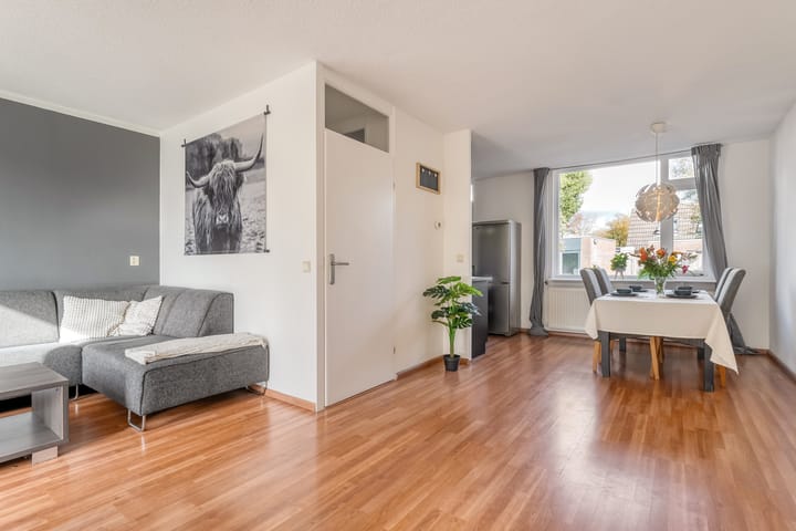 Foto 6 van Van Limburg Stirumware 72