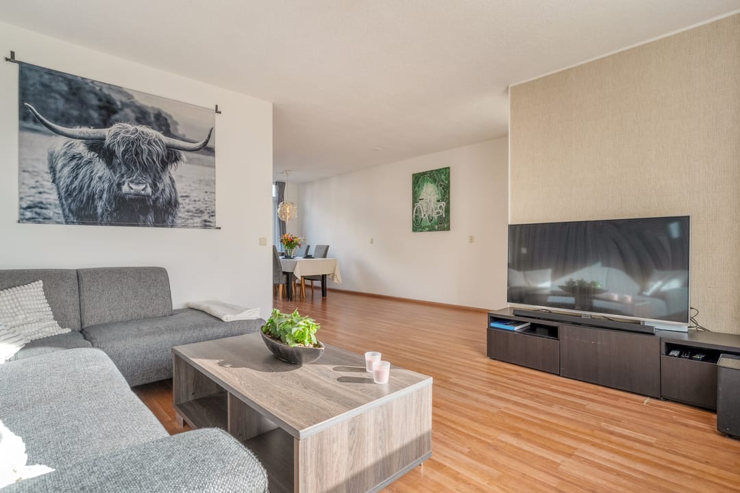 Photo 8 of Van Limburg Stirumware 72