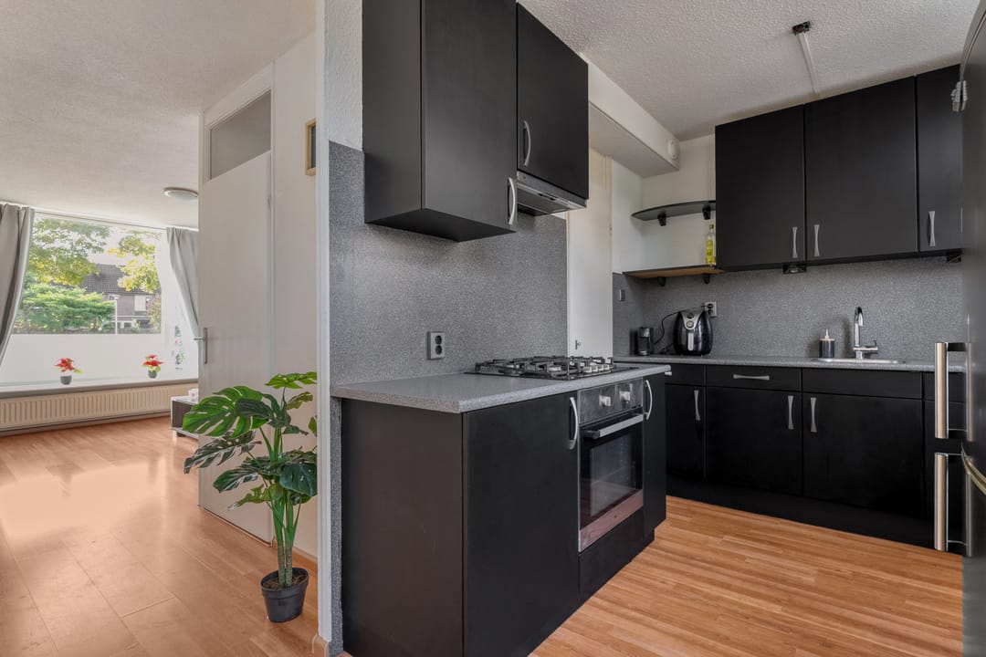 Photo 11 of Van Limburg Stirumware 72