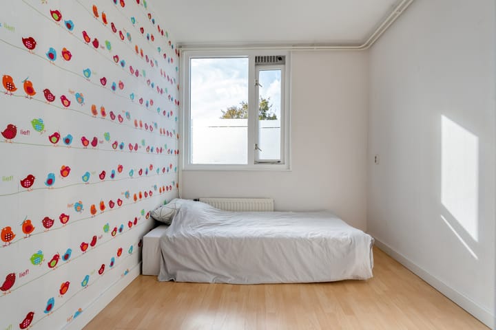 Foto 17 van Van Limburg Stirumware 72