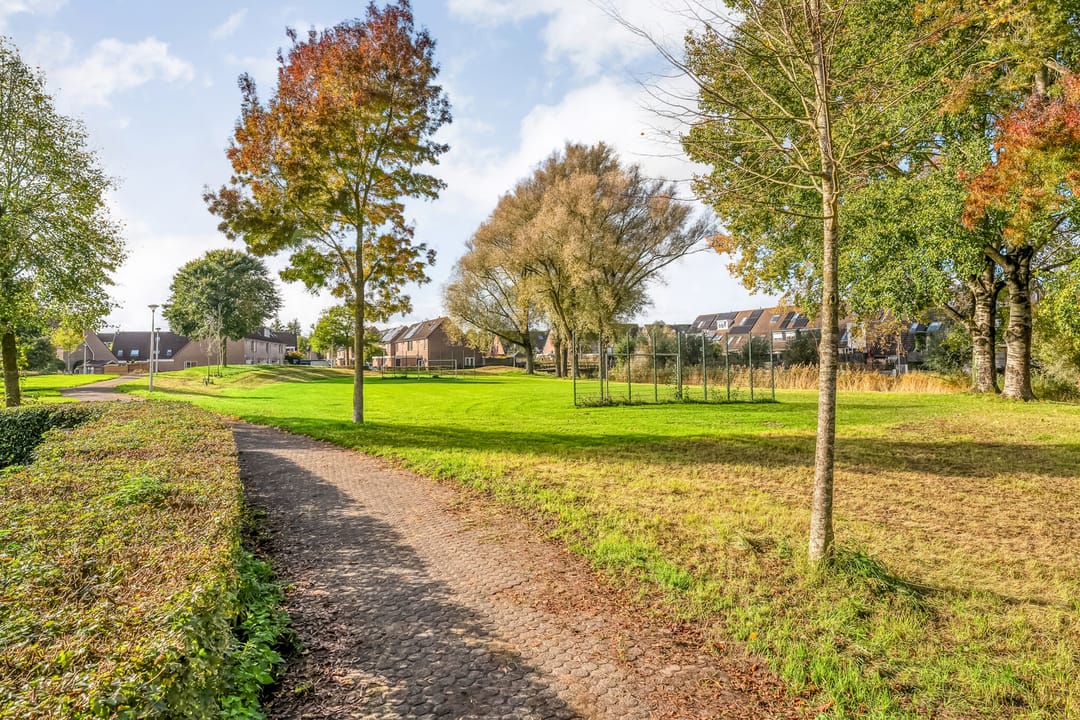 Photo 26 of Van Limburg Stirumware 72