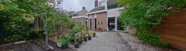 Achtertuin