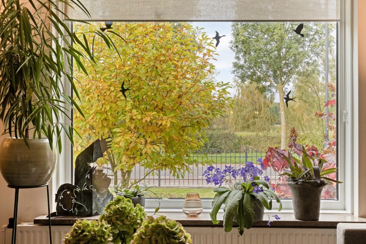 Foto 11 van Tussen de Bruggen 14