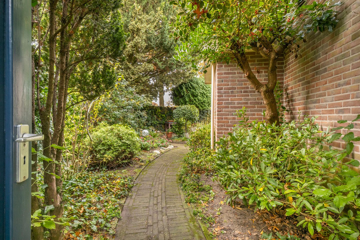 Foto 35 van Kamgras 72