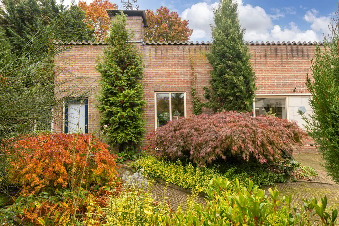 Foto 41 van Kamgras 72