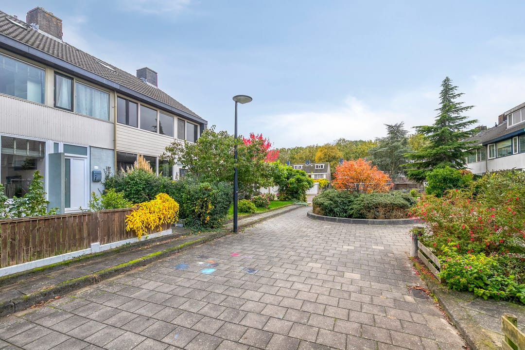 Foto 38 van De Oeverloper 65