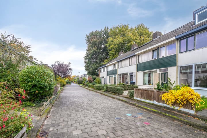 Photo 39 of De Oeverloper 65