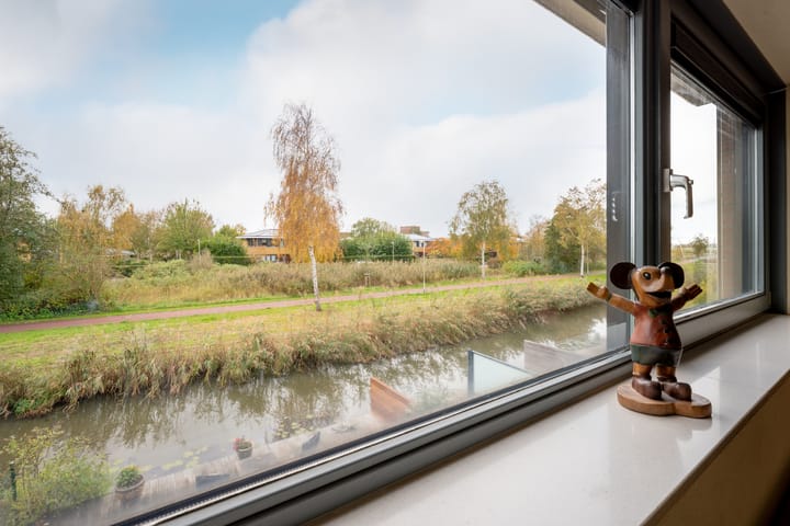 Foto 31 van Falconstraat 21