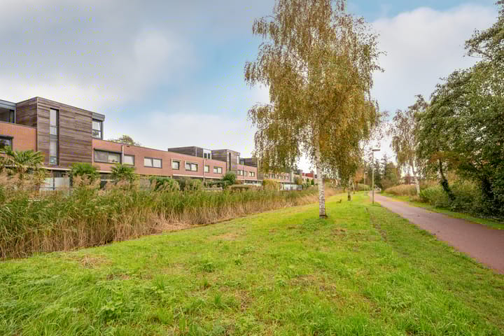 Foto 41 van Falconstraat 21