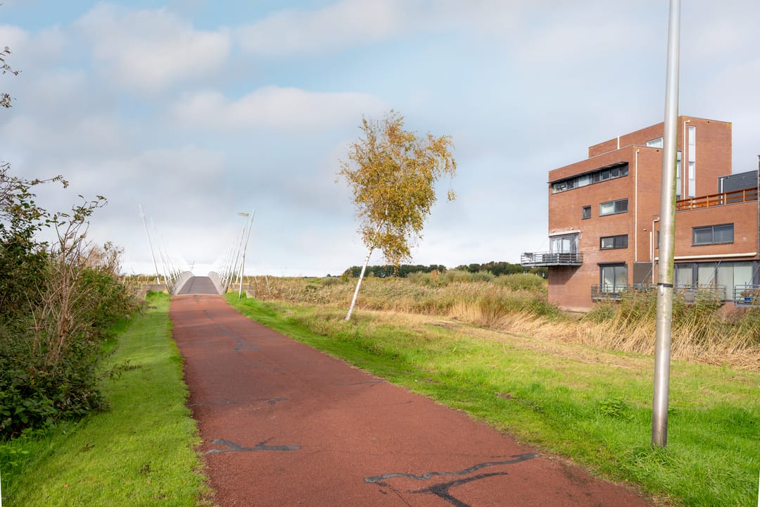 Foto 43 van Falconstraat 21