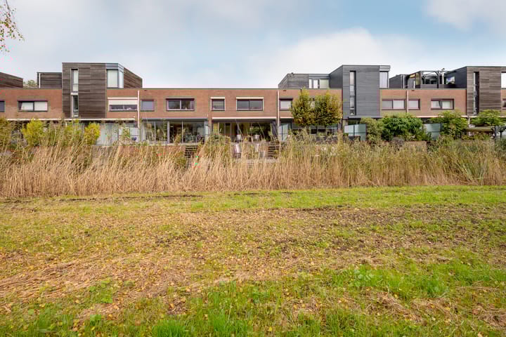 Foto 46 van Falconstraat 21