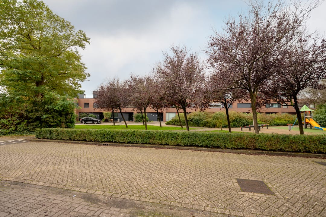 Foto 52 van Falconstraat 21