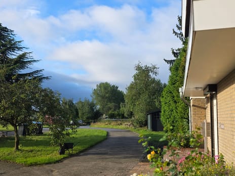 undefined main image