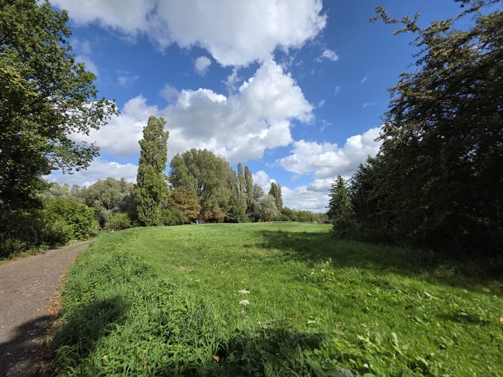 Foto 2 van Vlietberg 25