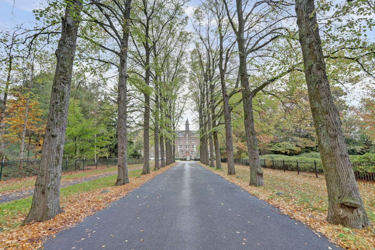 Foto 5 van Laan der Continenten 27