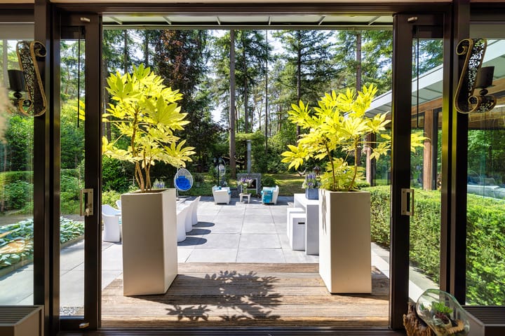 Foto 29 van Beukenlaan 4