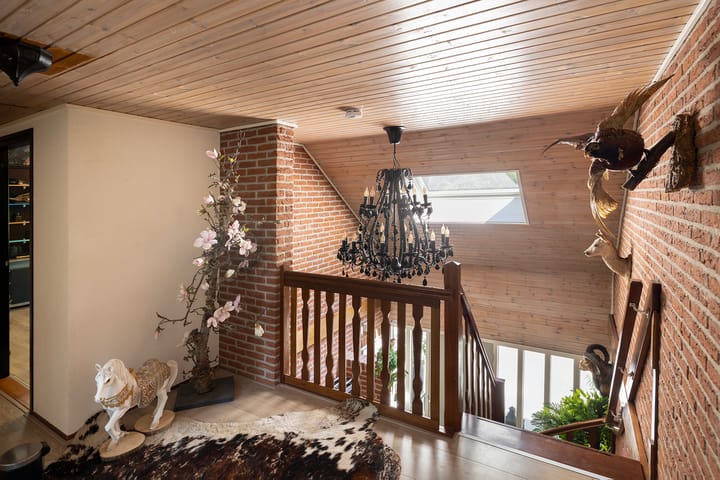 Foto 36 van Beukenlaan 4