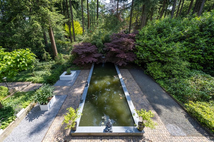 Foto 53 van Beukenlaan 4