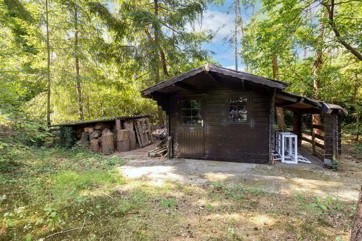 Foto 67 van Beukenlaan 4