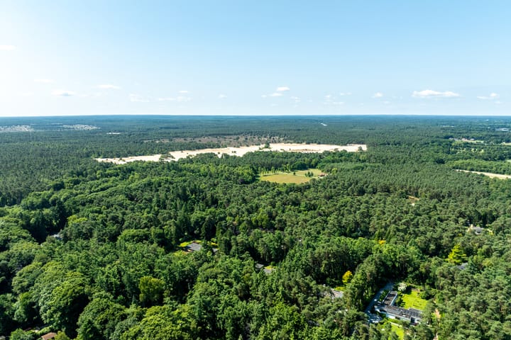 Foto 79 van Beukenlaan 4