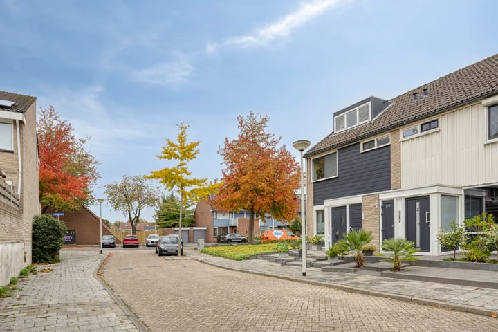 Foto 26 van Omloop 1