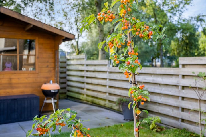 Foto 34 van Zuiderweg 285