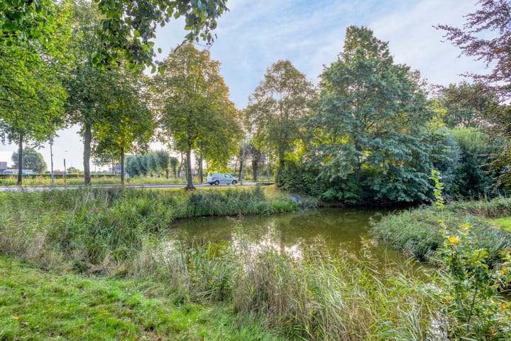 Foto 36 van Zuiderweg 285