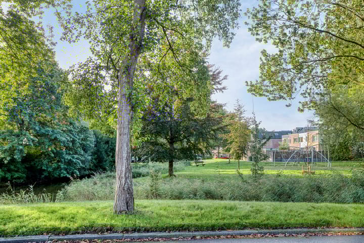 Foto 37 van Zuiderweg 285