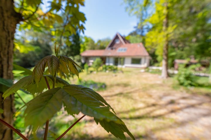 Photo 17 of Leeuwerikenlaan 1