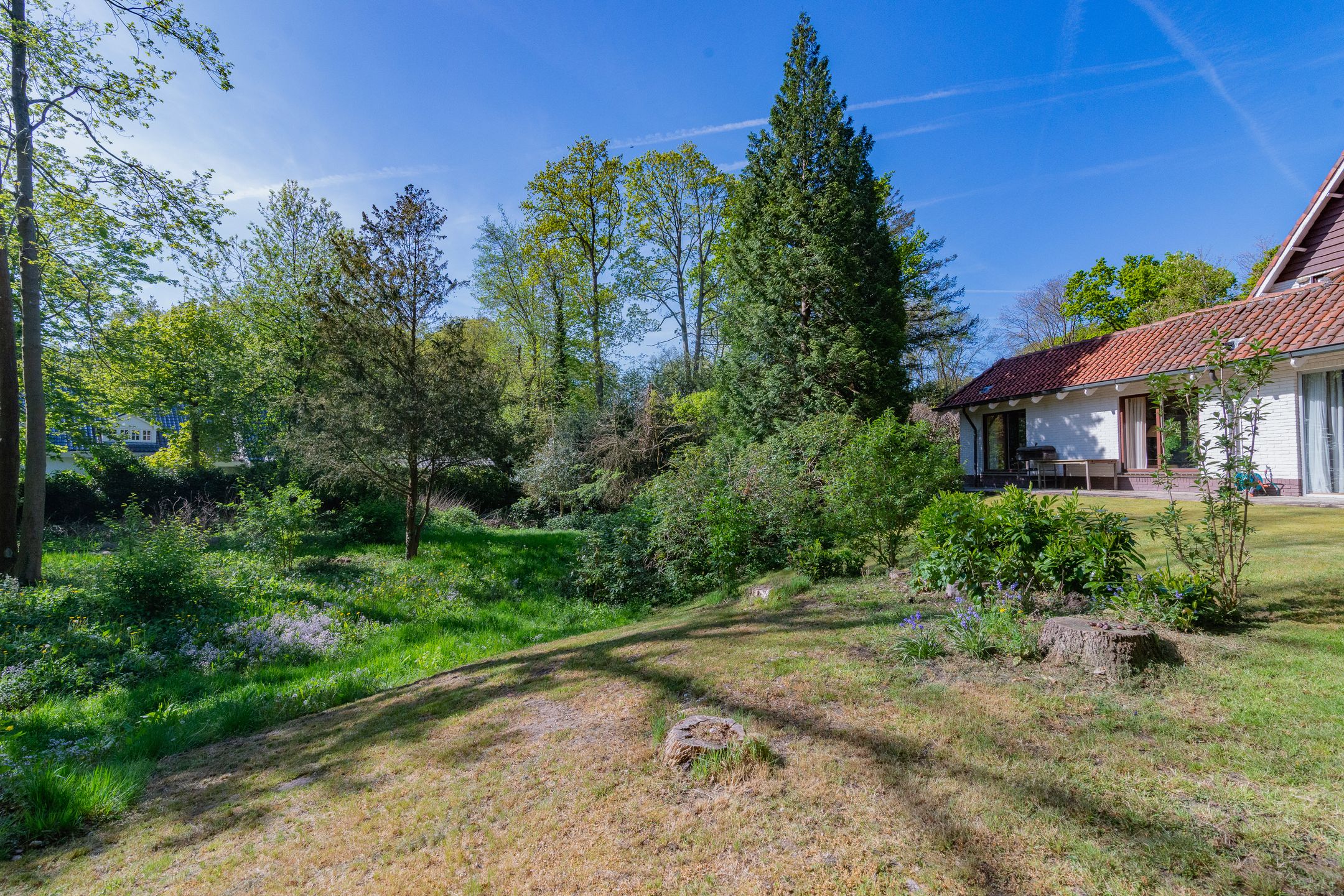 Photo 18 of Leeuwerikenlaan 1