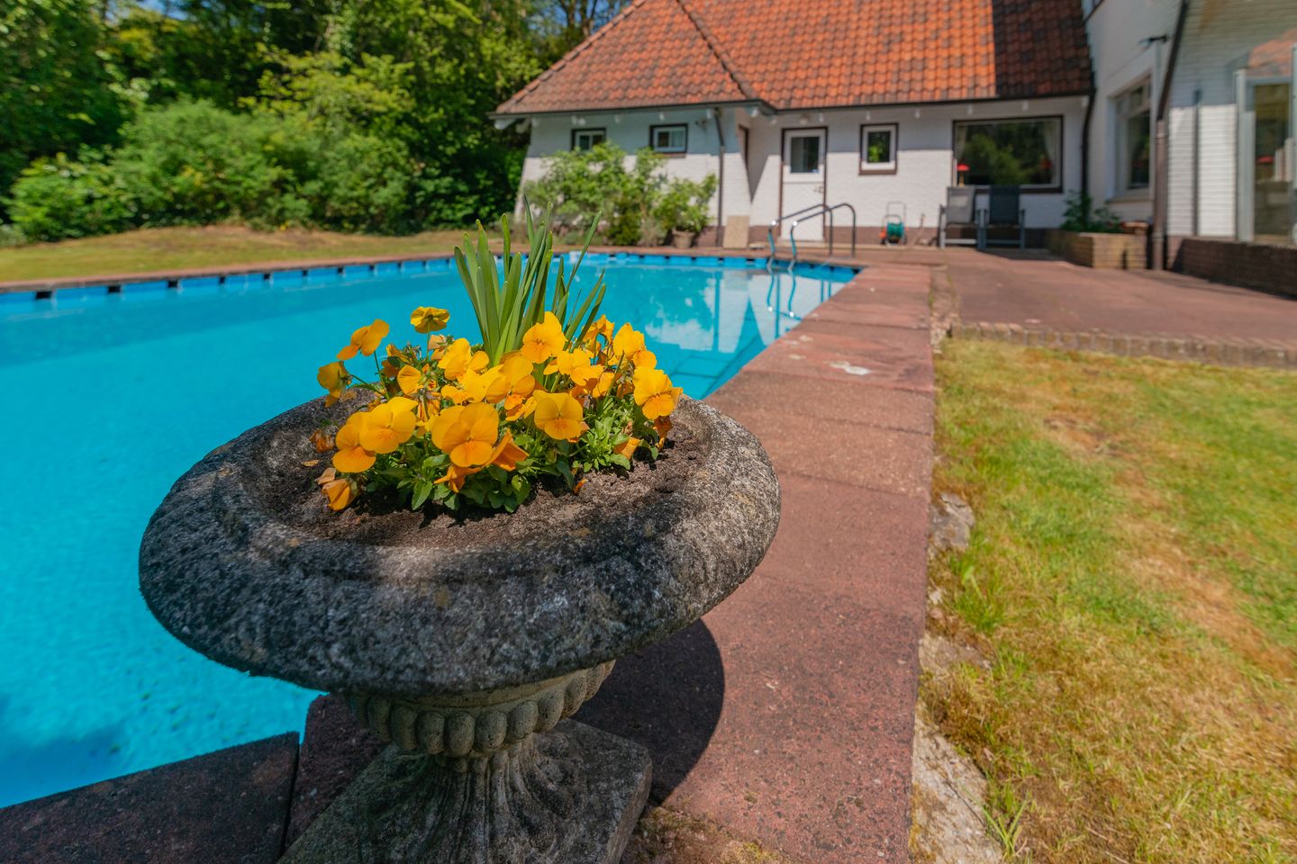 Photo 25 of Leeuwerikenlaan 1