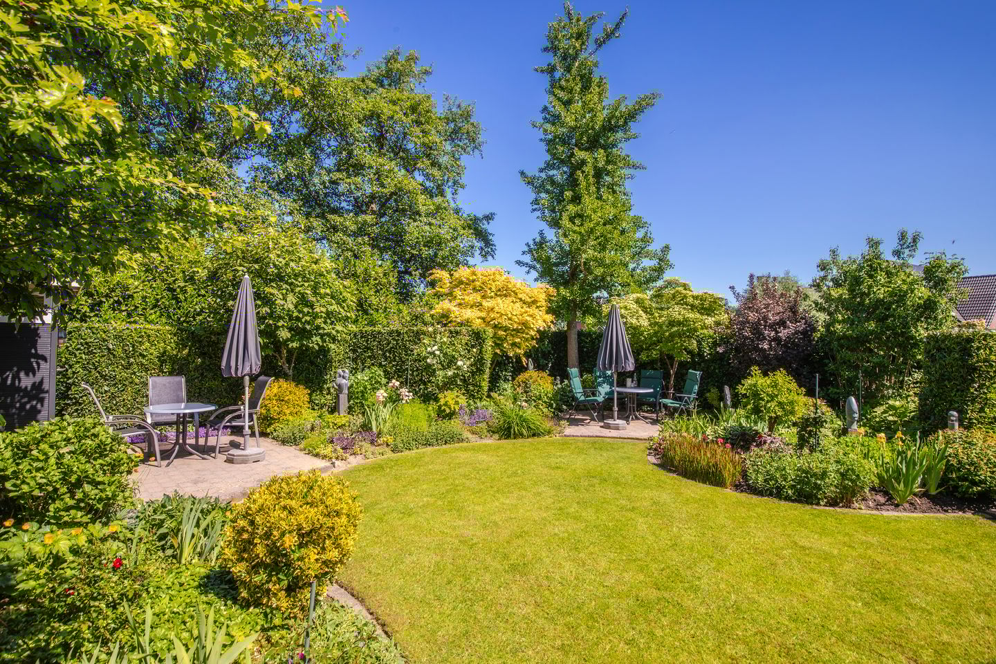 Photo 35 of de Bongerd 2