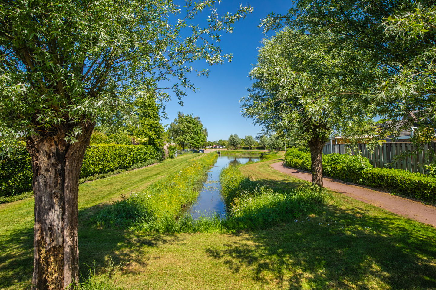 Photo 40 of de Bongerd 2