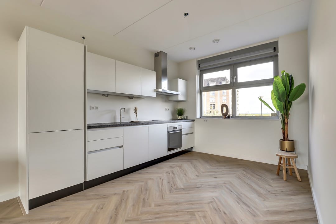 Foto 11 van Kaapsduinhof 55