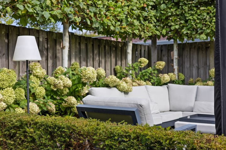 Photo 44 of Jan Beerenspad 2